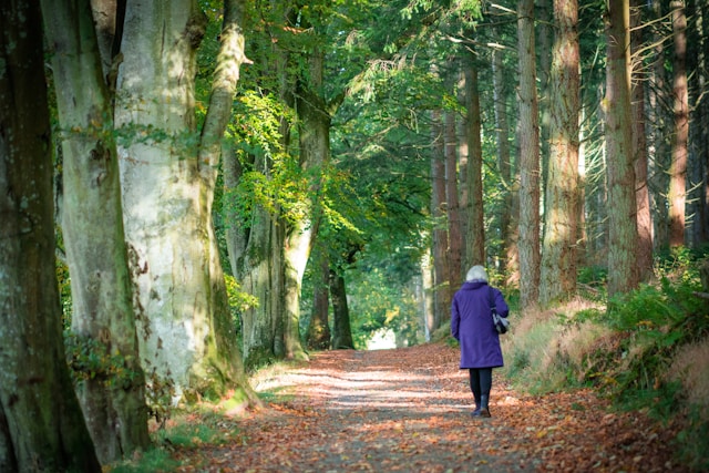 Belbertmira registrace